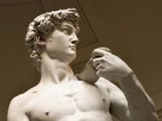 Michelangelo David statue in Galleria dell'Accademia Florence